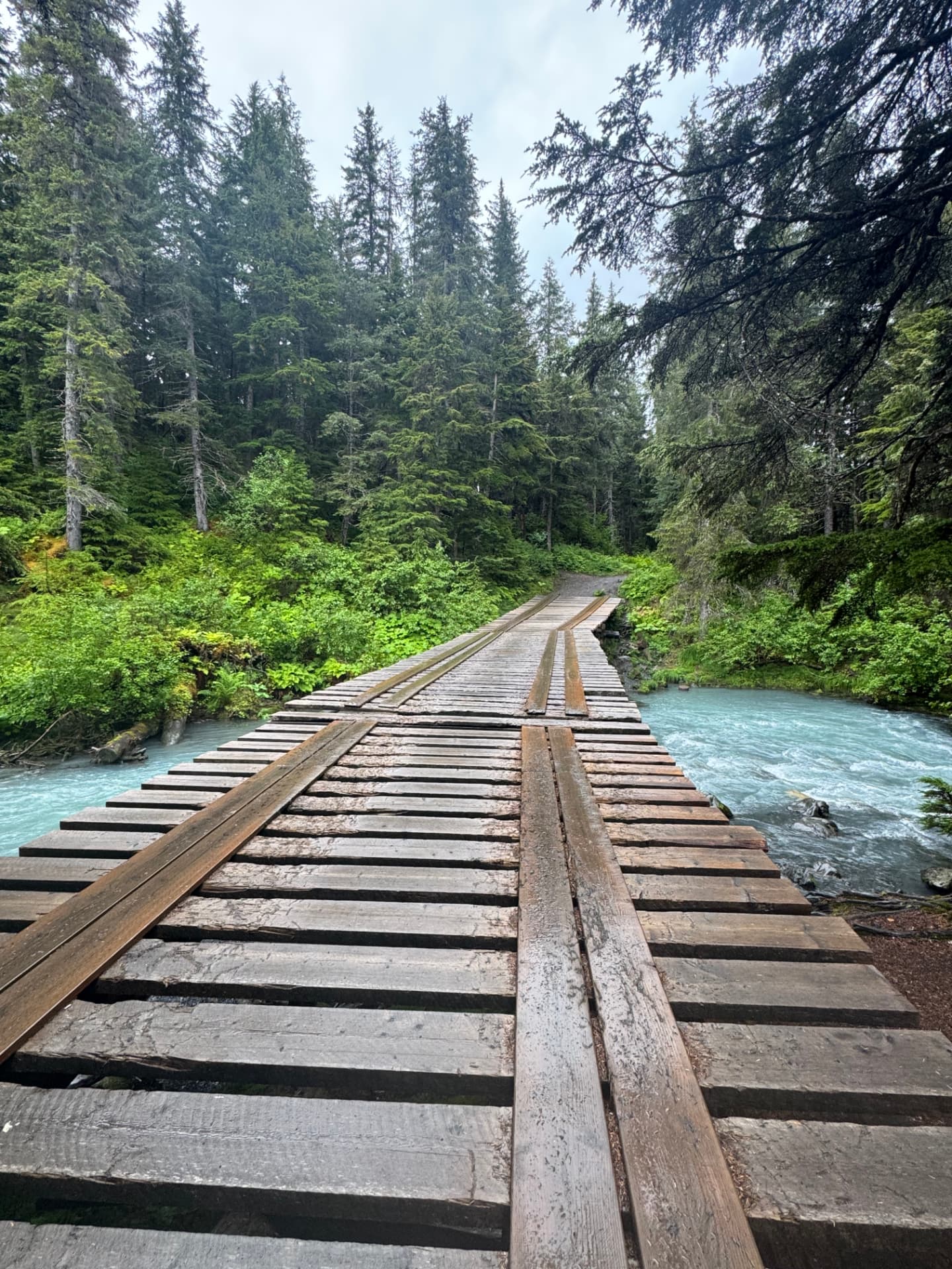 A wooden boardwalk path crossing a glacial river and leading into a quiet forest.